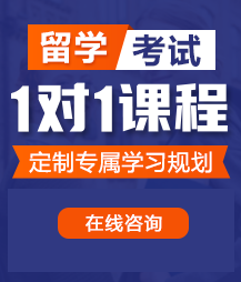 干屄免费视频网站留学考试一对一精品课